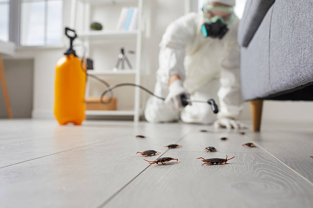 Commercial Kitchen Cockroach Control in Macon